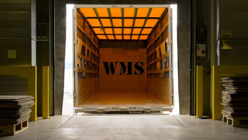 Зарубежные WMS-системы