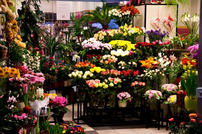 Автоматизация цветочного магазина: особенности учета и выбора программы учета цветов